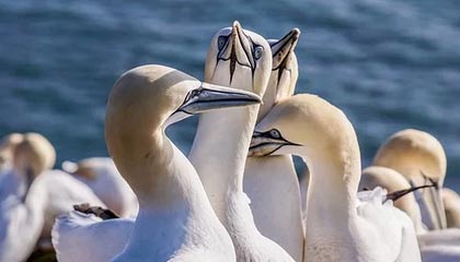 ios版下载-开云体育官方网站：开启你的体育新纪元