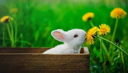 九游手机版-28圈：以节律重塑日常的健康美学之旅